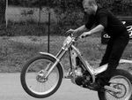 Wheelie